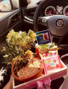 BONSAI EXCLUSIVE